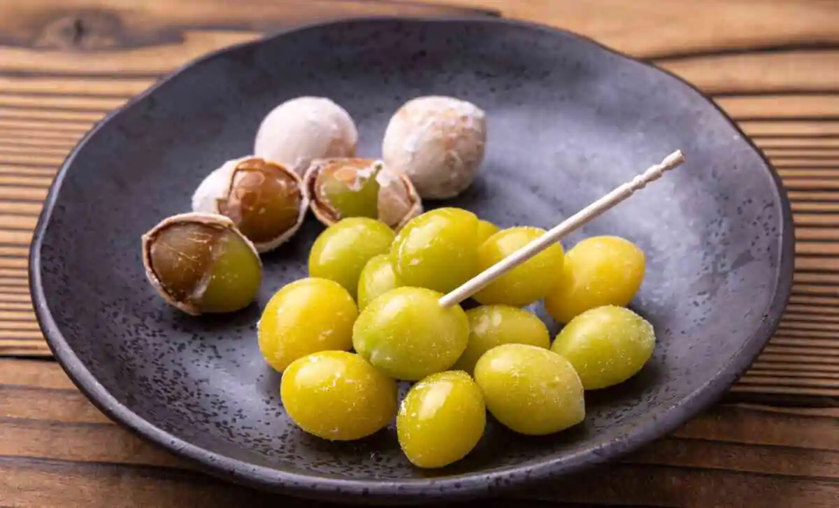 Ginkgo Nuts From Foraging to Recipes Japanbased